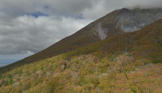 紅葉の大山撮影会
